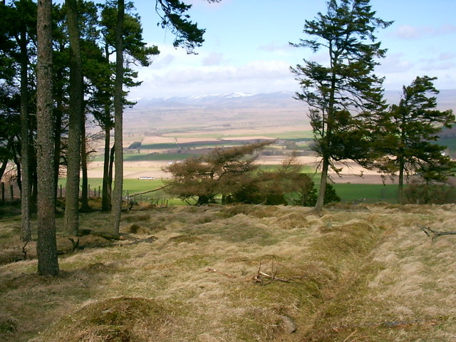 Hayston Hill or Kincaldrum Hill