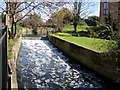 Hogsmill River (part thereof)