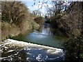 Hogsmill River