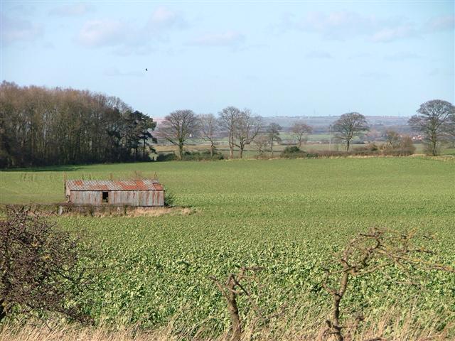 Barn and Arable Field, Off Lodge Lane