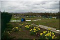 Swanscombe Allotments