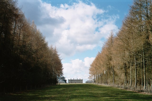 Avenue of trees leading to Ditchley