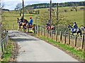 Racehorses exercising at White Lea, Crook