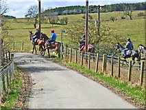 NZ1537 : Racehorses exercising at White Lea, Crook by Oliver Dixon