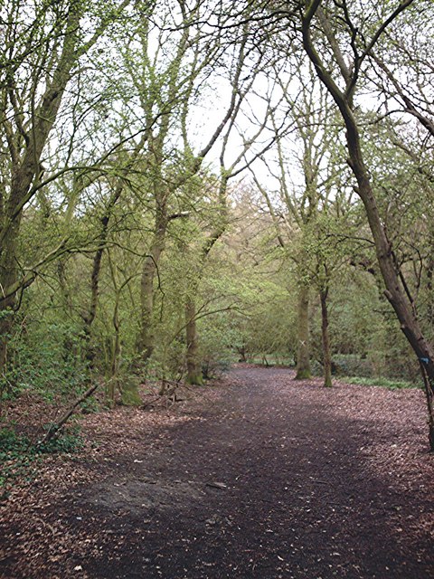 Beckney Wood - Footpath near S.W.... © John Myers :: Geograph Britain ...