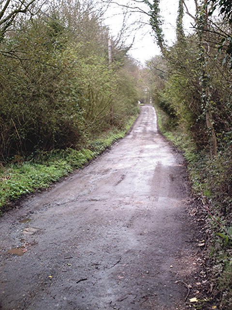 Hockley - Trinity Wood Road from Greensward Lane