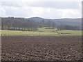 Looking Towards Cornhill House