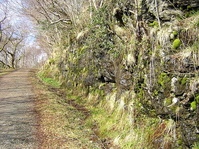 Rock Cutting on West Highland Way