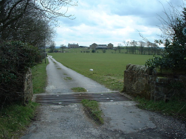 Farm lane and public footpath