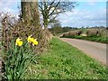 Green Lane, Newby Wiske