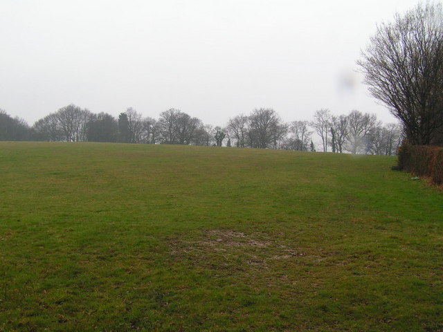 A field near Lower Gate Farm