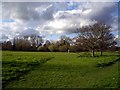 Middle Street Meadow, West Harnham