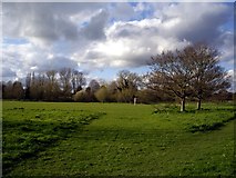 SU1329 : Middle Street Meadow, West Harnham by Peter Jordan
