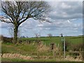 Public Footpath to Preston West Farm