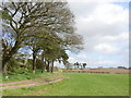 Watling Street near Old Pale, Cheshire