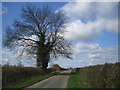 Chackmore: Unnamed lane to Bufflers Holt