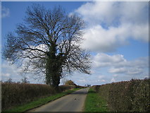 SP6735 : Chackmore: Unnamed lane to Bufflers Holt by Nigel Cox