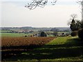 Field north of Hunton