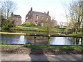 Village Pond Higher Whitley