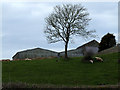 SH4781 : Farm buildings at Bodgynda by Nigel Williams