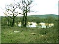 Lake at White Springs near Pentrebach