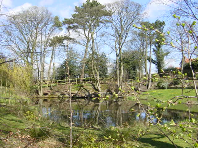 Mill Pond, Waste Lane, Kelsall © Sue Adair :: Geograph Britain and Ireland