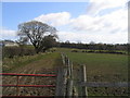 Farmland at Low Healy Cote