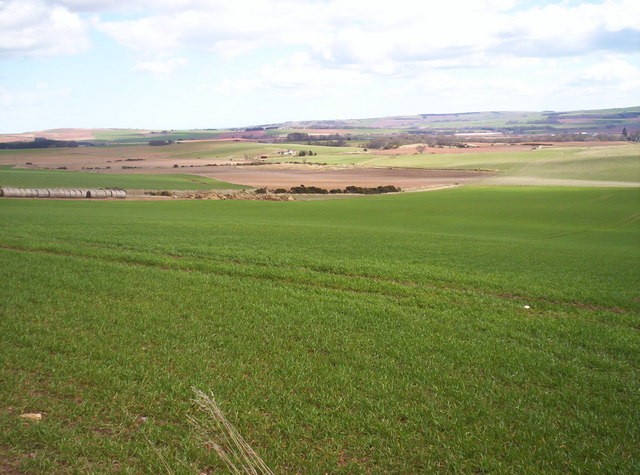 Fields southeast of Kinkell