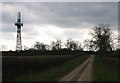 Radio mast and trees