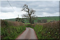 Bathealton: lane to Manworthy Cross