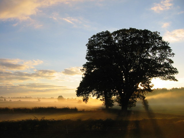 Dawn sunlight through early morning mist © Jessica Aidley cc-by-sa/2.0 ...