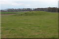 Tumulus to the south of Scarborough Farm