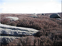 SD9230 : Whinberry Stones, Heptonstall Moor, W Yorks by Rodney Burton
