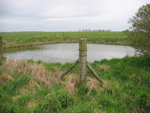 Raised Pond