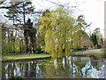 Harmer Green Village Pond