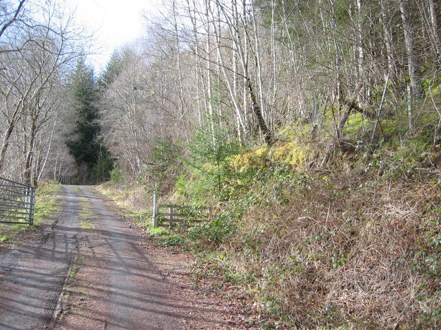 Forest Enterprise Track