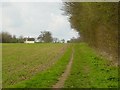 Farmland, Manuden