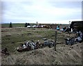 Car Graveyard near Broomhill, Newmill