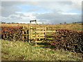 Bellstane Woodland