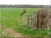 SY6491 : Field near Lower Skippet Farm by Jim Champion