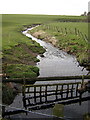 Cleughearn Burn Near Millwell Road