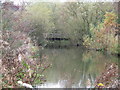 Barnsley Canal at Walton Colliery Nature Reserve.