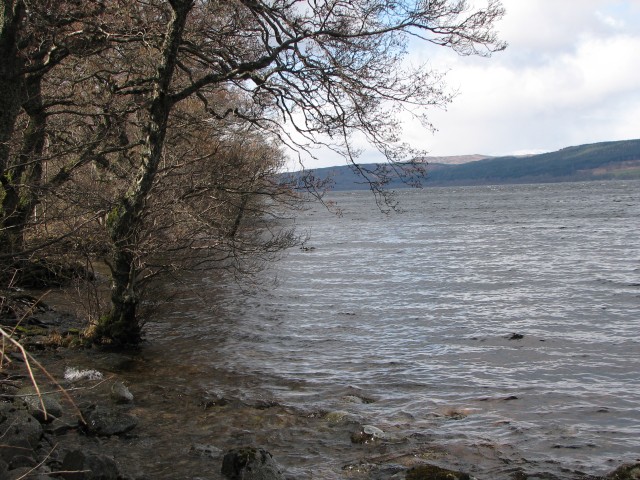 Shore of Loch Rannoch