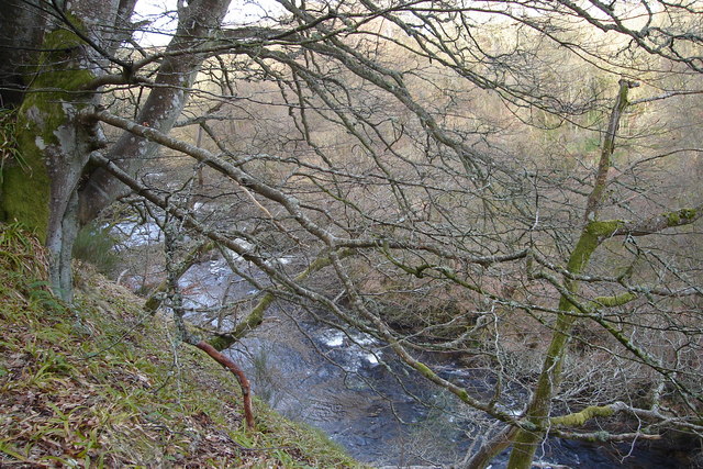River Isla flowing through Den of Airlie near Ruthven