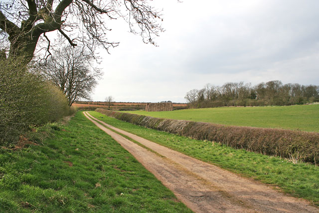 Long Hollow near Braceby