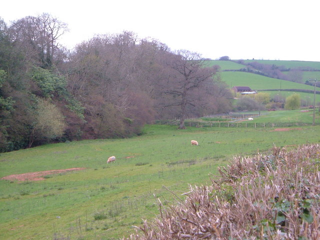 Valley near Exminster