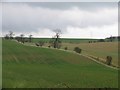 Fields opposite Woodnook Farm