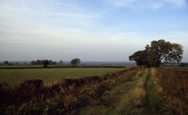 Green Lane near Clive Wood