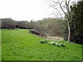 River Test at Britwell Priors