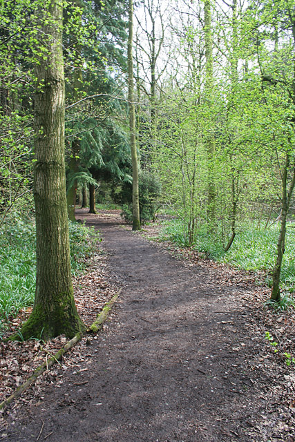 Martinshaw Wood, Groby